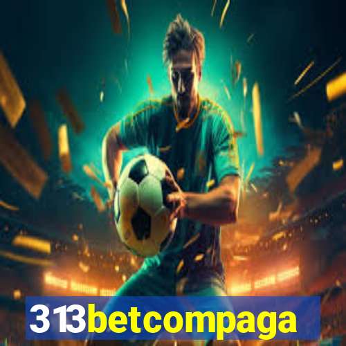 313betcompaga