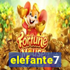 elefante7