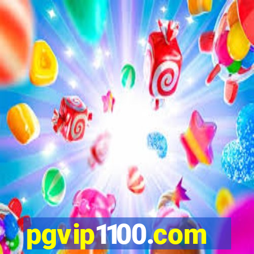 pgvip1100.com