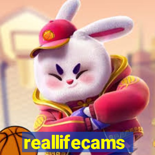 reallifecams