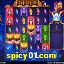 spicy01.com