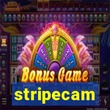 stripecam