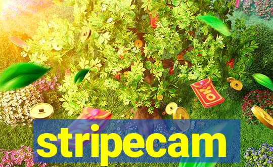 stripecam